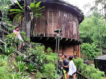 Fig Tree Hill Resort