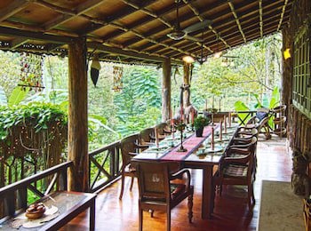 Fig Tree Hill Resort