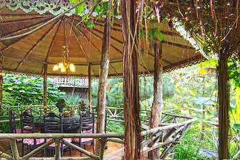 Fig Tree Hill Resort
