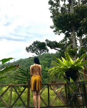 Fig Tree Hill Resort