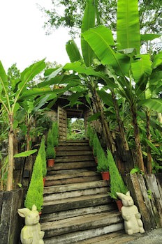 Fig Tree Hill Resort