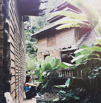 Fig Tree Hill Resort