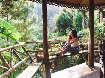 Fig Tree Hill Resort