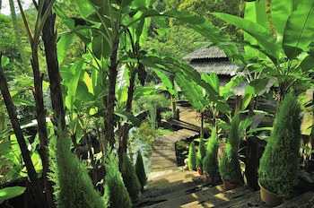 Fig Tree Hill Resort