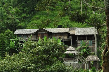Fig Tree Hill Resort