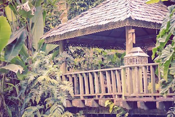 Fig Tree Hill Resort