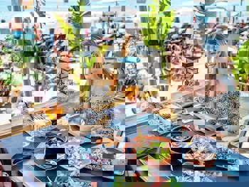 Royalisa Palmiye Beach +16 Adult Only