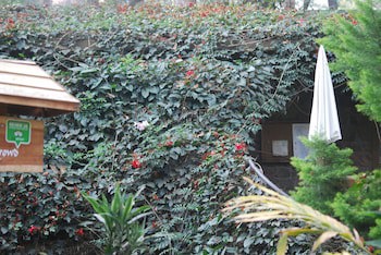 Green Spaces Munnar