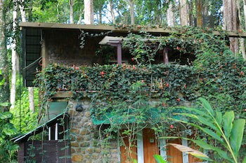 Green Spaces Munnar