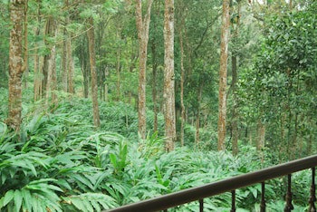 Green Spaces Munnar