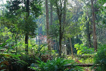 Green Spaces Munnar