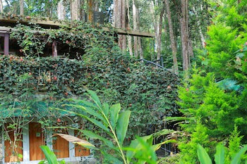 Green Spaces Munnar
