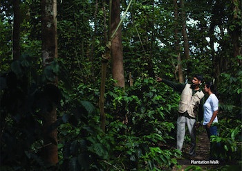 The Serai Chikmagalur