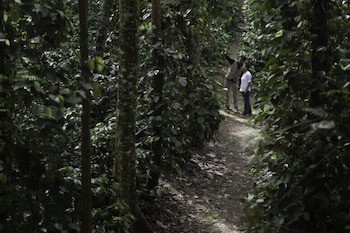 The Serai Chikmagalur