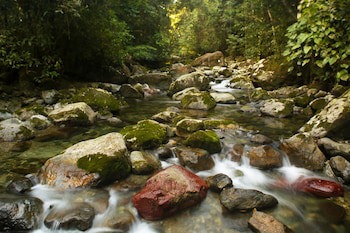 The Lodge At Pico Bonito