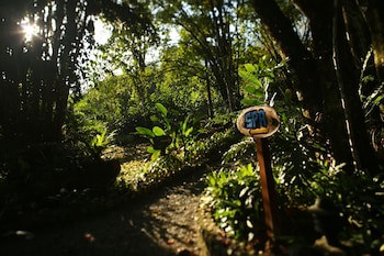 The Lodge At Pico Bonito