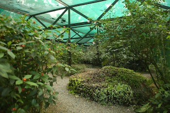 The Lodge At Pico Bonito