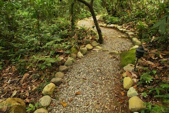 The Lodge At Pico Bonito