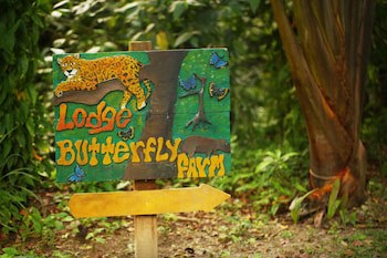 The Lodge At Pico Bonito