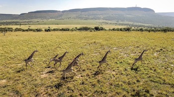 African Hills Safari Lodge & Spa