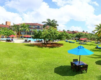 The Palms