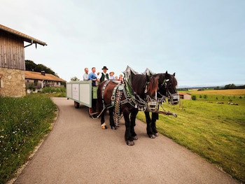 Brauereigasthof-Hotel Aying galeri fotoğrafı