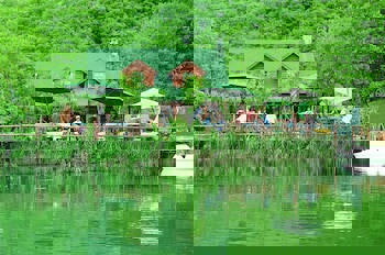 Tranquilla River Lodge - Adults Only