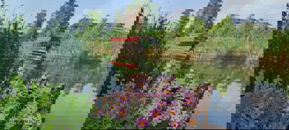 Tranquilla Nehir Evi