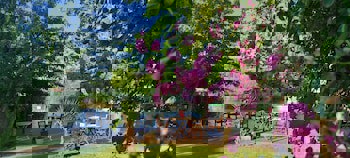 Tranquilla River Lodge - Adults Only