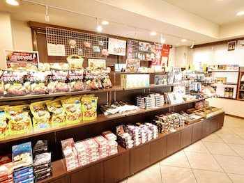 Hotel Route - Inn Kawaguchiko