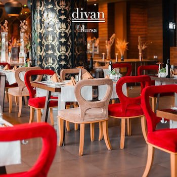 Divan Bursa