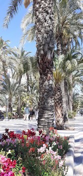 Alicante San Nicolas