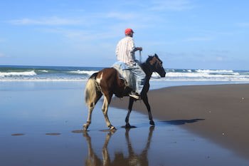 Sabas Beach Resort