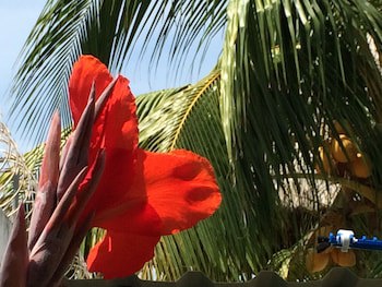 Sabas Beach Resort