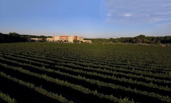 Fuente Mayor Hotel And Resort