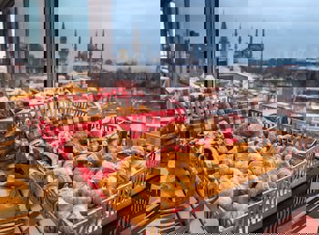 Sura Design Hotel And Suites - Boutique Class