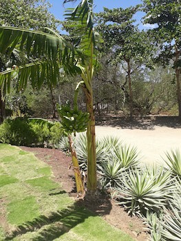 Hacienda Iguana Beach And Golf Resort