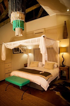 Amakhosi Safari Lodge And Spa
