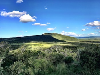 Amakhosi Safari Lodge And Spa