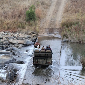 Amakhosi Safari Lodge And Spa