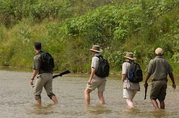 Amakhosi Safari Lodge And Spa