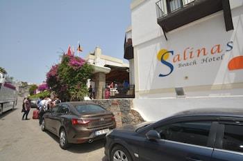 Salinas Beach Hotel Bodrum/Boutique Concept