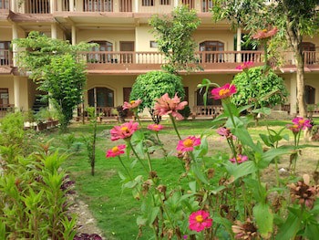 Jungle Wildlife Camp