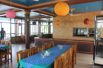 Jungle Wildlife Camp