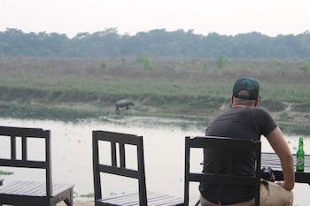 Jungle Wildlife Camp