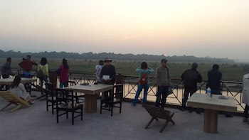 Jungle Wildlife Camp