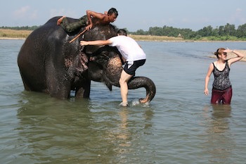 Jungle Wildlife Camp