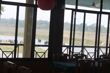 Jungle Wildlife Camp