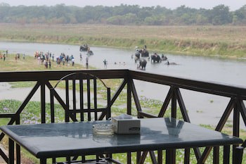 Jungle Wildlife Camp