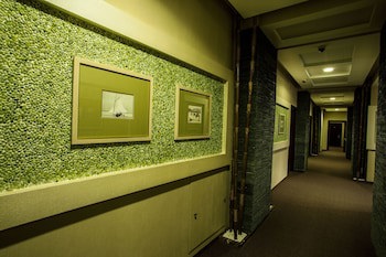 Tsunami Spa Hotel